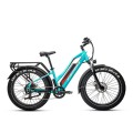 JOBOBIKE ROBIN Electric bike FATBIKE (8).jpg