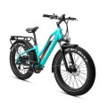 JOBOBIKE ROBIN Electric bike FATBIKE (5).jpg