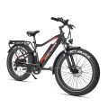 JOBOBIKE ROBIN Electric bike FATBIKE (6)(1).jpg