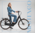 Vogue Menstengo Lady .jpeg.png